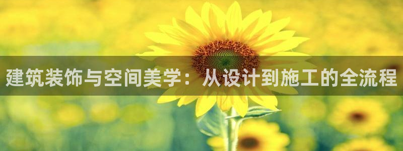 新航娱乐传媒招聘