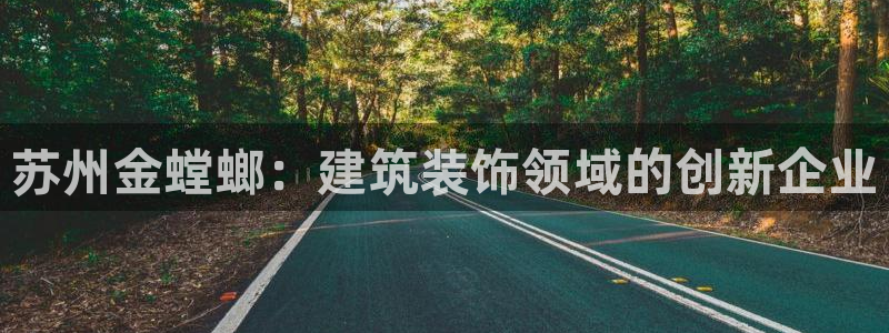 新航文化娱乐传媒怎么样