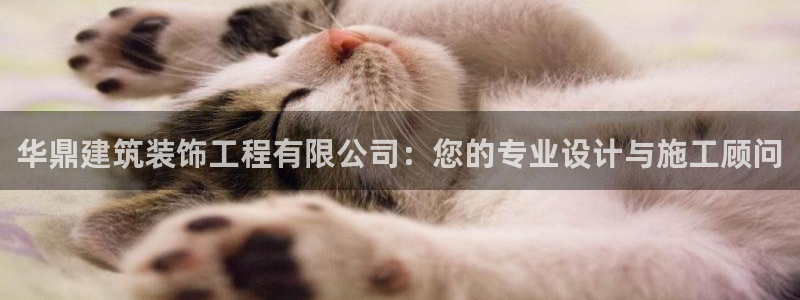 开启娱乐新航线
