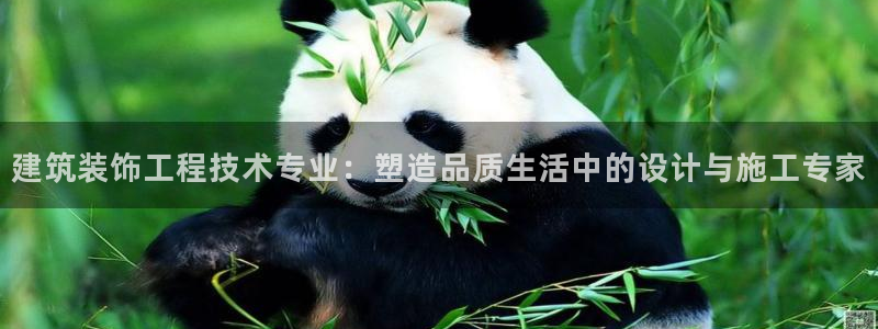 新航娱乐是正规平台吗