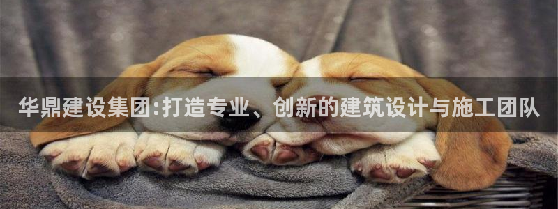 新航娱乐传媒招聘信息