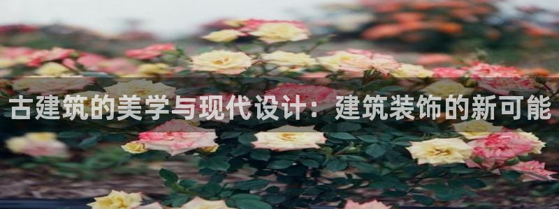 新航娱乐传媒招聘