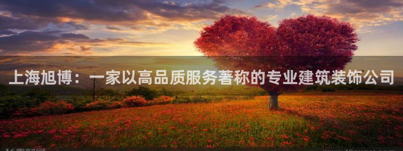 新航娱乐公司简介资料