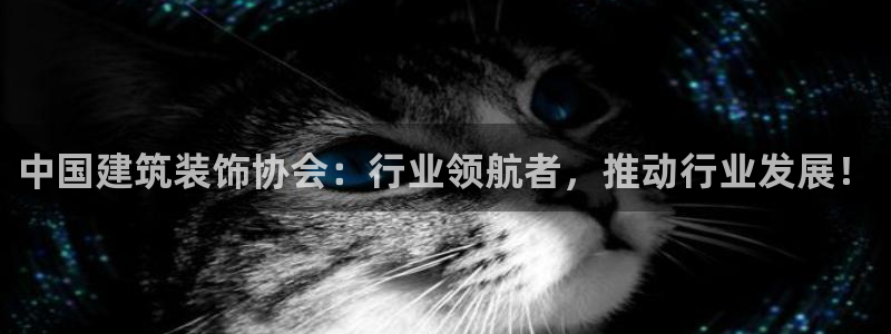 新航娱乐官网注册入口