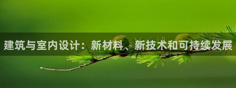 新航娱乐公司问题分析