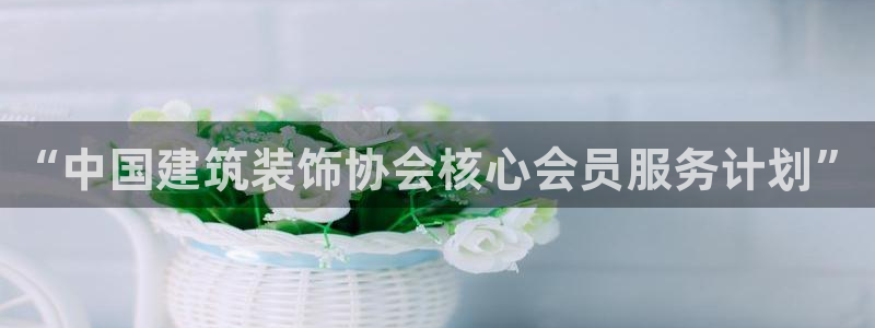 新航文化娱乐传媒招聘