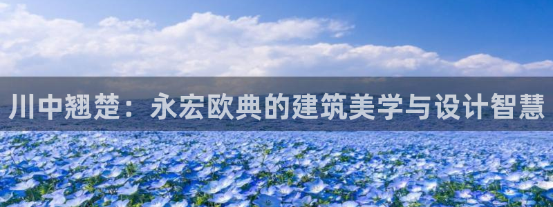 新航娱乐app官方下载