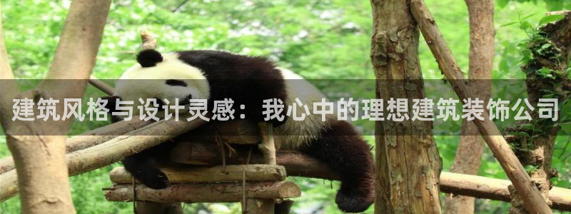 新航娱乐公司招聘电话