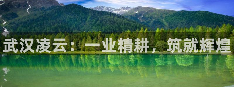 新航新客舱机上娱乐银