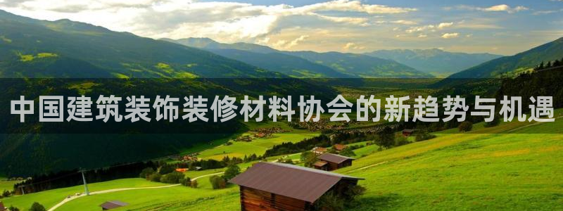 新航娱乐有限公司招聘