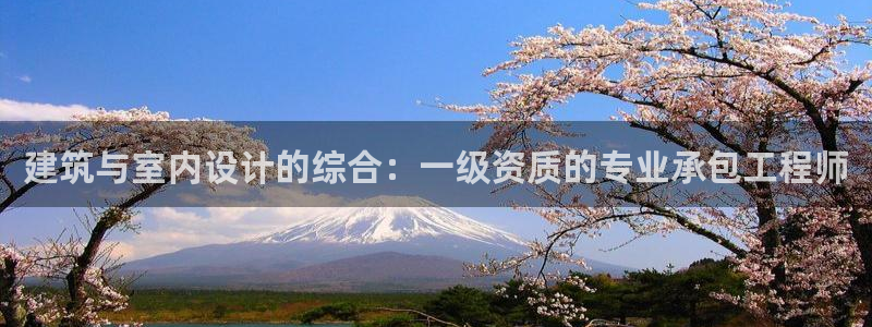 新航娱乐公司艺人