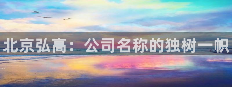 新航sq806娱乐系统