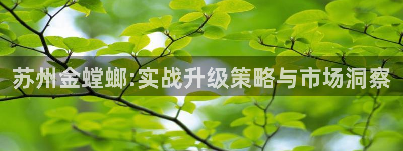 新航娱乐登录入口