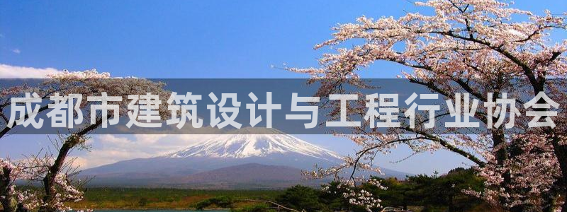 新航娱乐安卓版下载