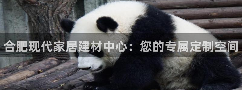 新航娱乐平台注册