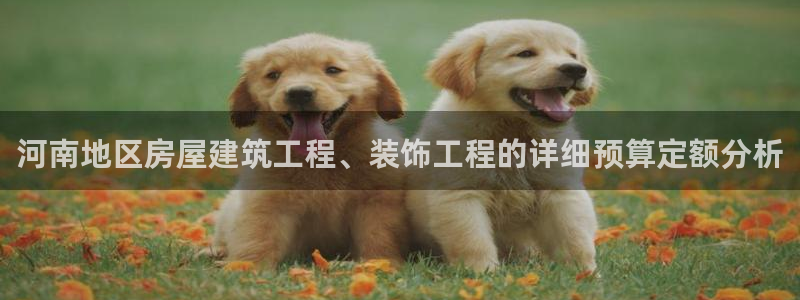 新航娱乐传媒招聘信息